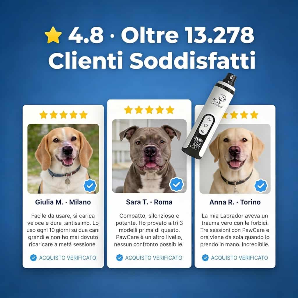 PawCare™ - Lima elettrica sicura con punta in diamante